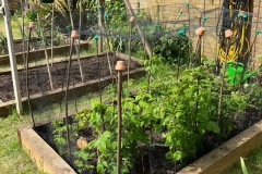 GardenMay1