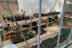 The-Green-Hub-2304-Photo-9