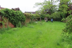 The garden before we began ...