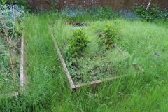 Garden-visit-210604-40