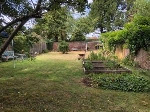 Green Hub garden out look