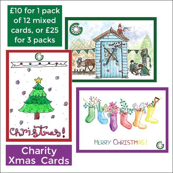 Christmas Cards 2023 Green Hub