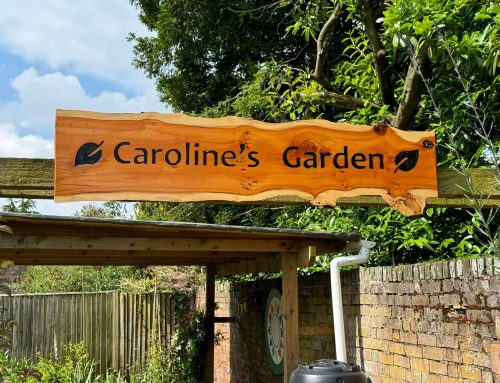 Caroline’s Garden