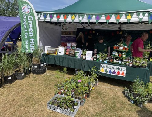 The sun came out for Godalming town Show ’26!